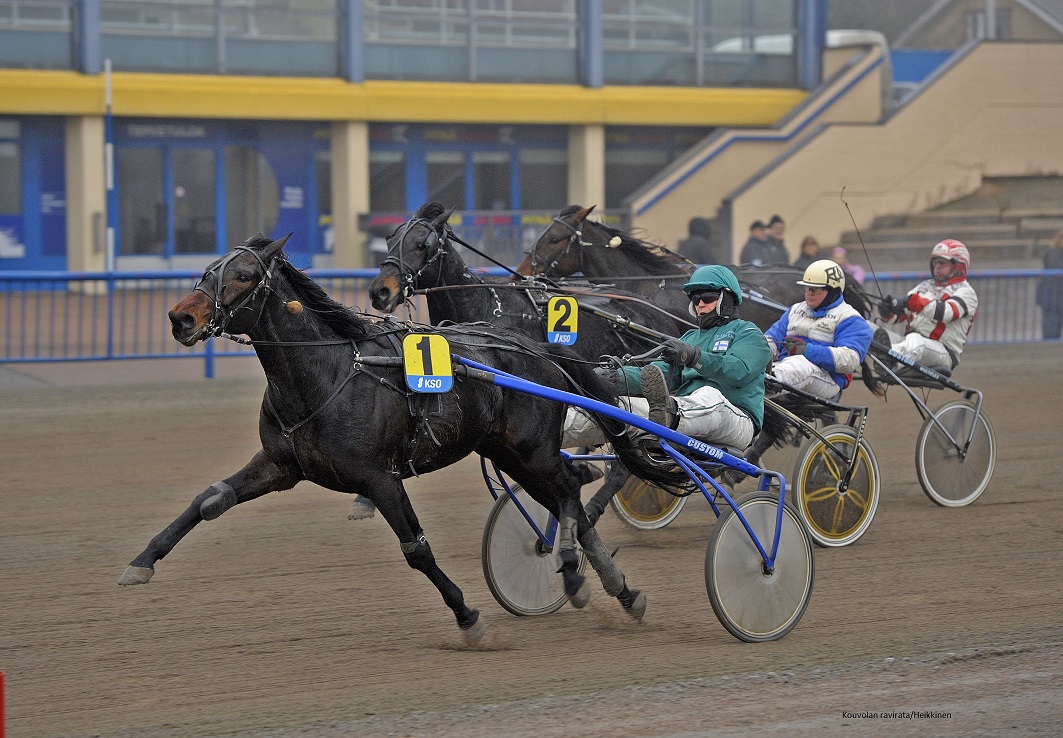 Applehill's Express
