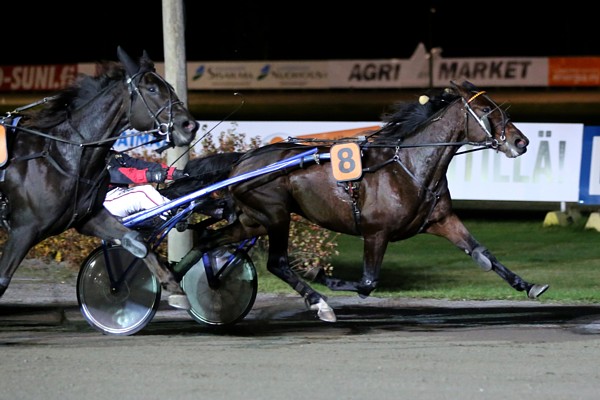 Applehill's Lotte